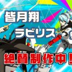 Labrys och Shō Minazuki kommer till Persona 3 & 5 Dancing