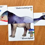 Skapa flygande dromedarer och rävhajar i Darwin’s Choice