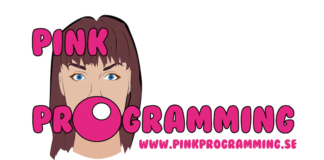 Reportage: Game Dev Camp med Pink Programming!