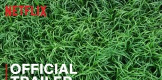 In The Tall Grass | Official Trailer
