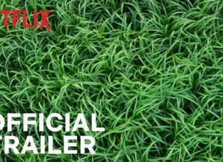 In The Tall Grass | Official Trailer